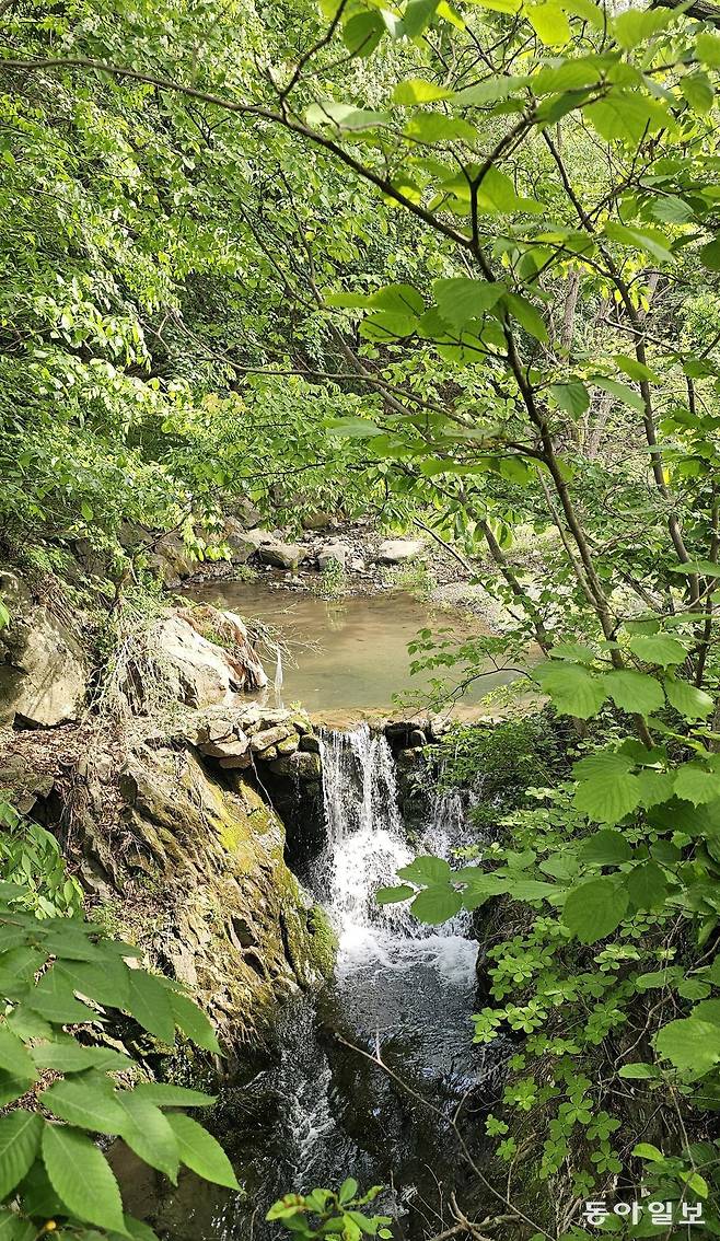 탁오대에 앉아 바라보는 풍경. 부여=김선미 기자 kimsunmi@donga.com