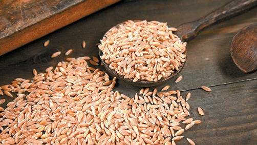 이탈리아 정부가 관리하는 파로는 최근 셀럽들의 건강 관리 비결로 알려져 화제다. [사진 그레이온]