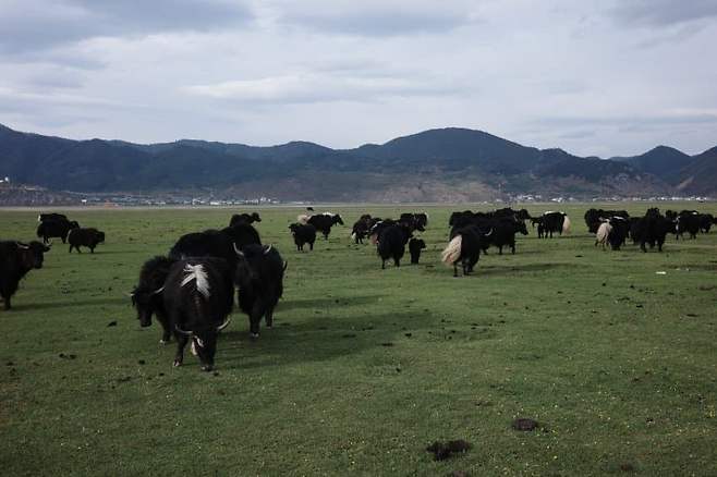 08e58171c3f6698523ea83ed359c7018fa1339a4cdd538bb0cb807b92dba234c0ddc3c16d85e5c24cc7fcd7e78622e5c52ba7824026c