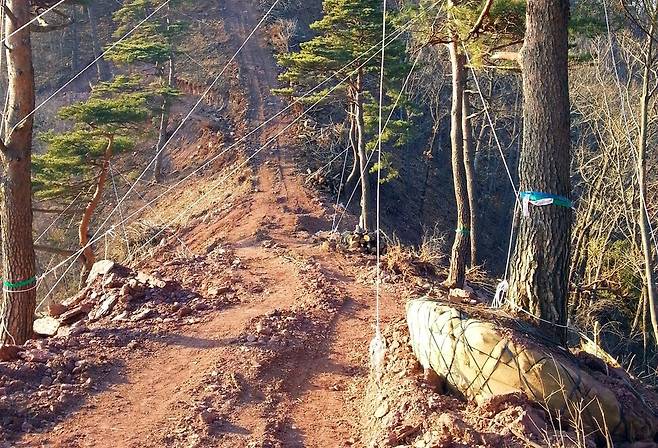 2017년 경북 영양의 백두대간 능선 부분이 풍력발전 단지 개발 공사로 훼손돼 있다. 박용훈 사진작가 제공