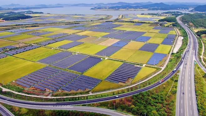 2021년 가을 전남 영암 영산강 하류의 한 농촌 마을 풍경. 논의 절반 이상이 태양광 패널로 점령당했다. 최병성 초록별생명평화연구소장 제공