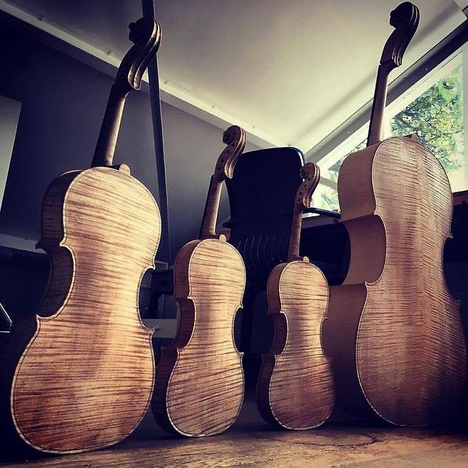 독일 현악기 제작자 슈테판-페터 그라이너가 만들고 있는 다양한 현악기들.            슈테판-페터 그라이너 페이스북