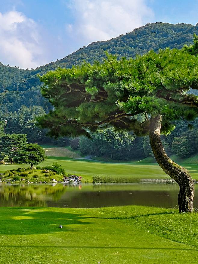 경기 곤지암에 위치한 중부컨트리클럽(CC) 코스 모습. (애경그룹 제공)