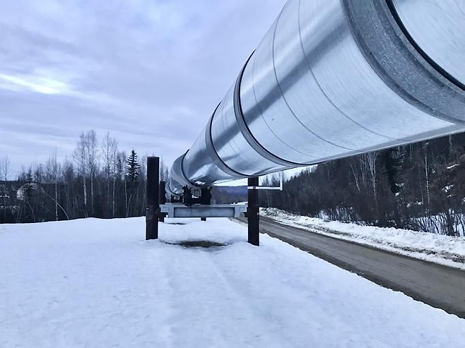 2023년 5월 5일 알래스카 델타 정션 근처에서 알래스카 산맥을 지나가는 알래스카 횡단 파이프라인 시스템 일부 모습 [게티이미지뱅크]