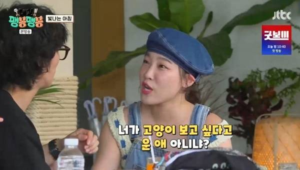 JTBC ‘대결! 팽봉팽봉’ 캡처