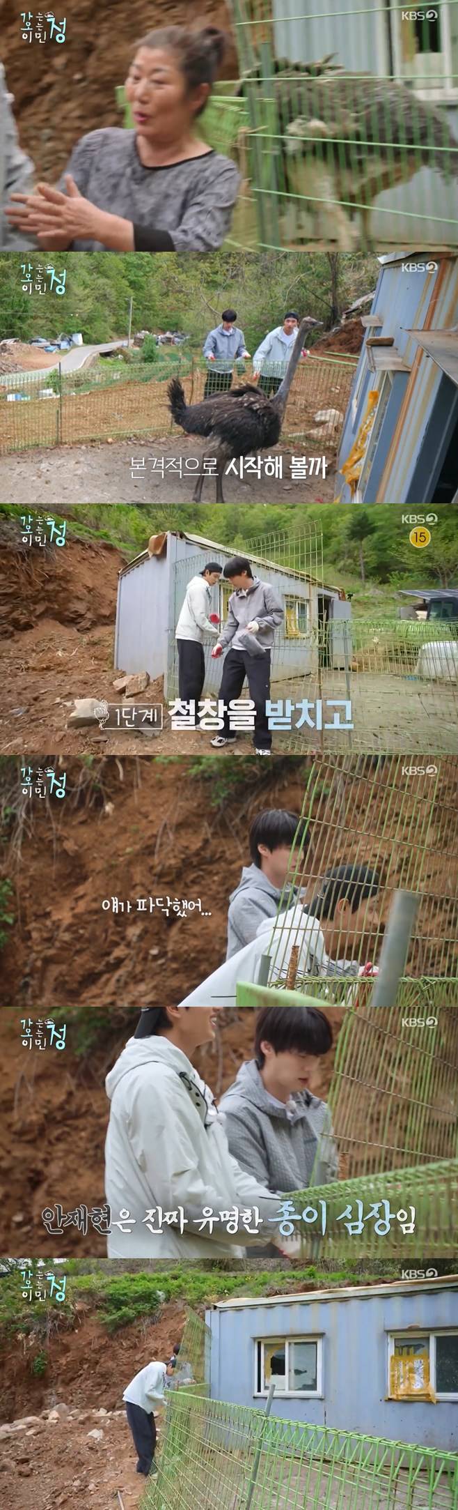 티브이데일리 포토