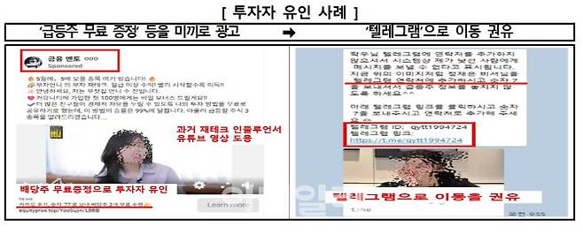 자료=금융감독원 제공