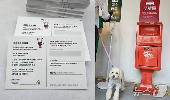 산책 챌린지 후 반려견의 건강을 위한 서약서를 우체통에 넣으면 미션 완료. 서약서는 6개월 후 보호자의 집으로 발송돼 보호자들이 반려견 건강 관리에 대한 다짐을 기억하도록 기획됐다. ⓒ 뉴스1 한송아 기자