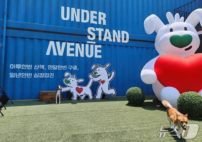 킁킁쿵쿵 캠페인 행사장에 마련된 포토존에서 반려견이 기념 사진을 찍고 있다. ⓒ 뉴스1 한송아 기자