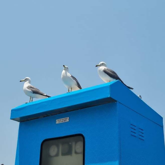 3fb8c32fffd711ab6fb8d38a4183746f6447012c84b4452181bc6f826e8aa31466f528b809a86358bd8d0690