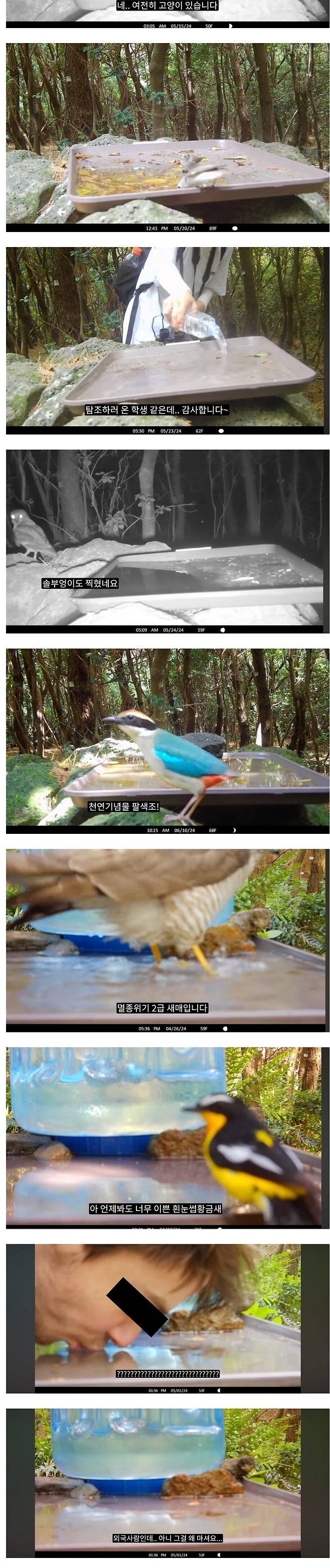 3.jpg 캣맘과 고양이가 사라진 마라도에 물그릇을 만들어 줬을때...