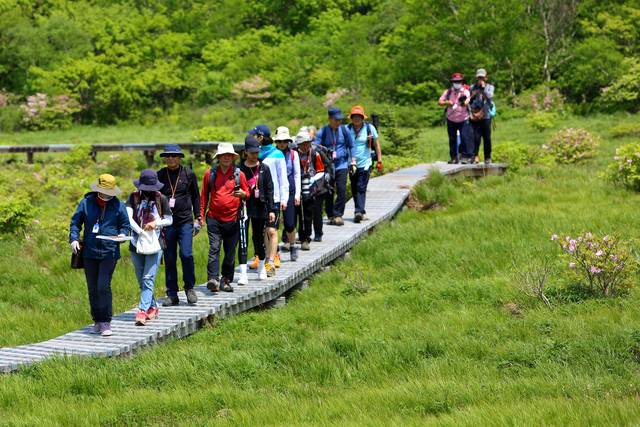 대암산 용늪. 인제군청 제공