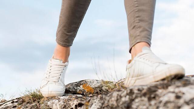 게티이미지뱅크