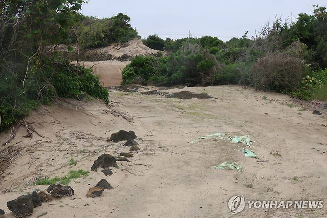 김녕리 농경지 사이 사구 [촬영 고성식]