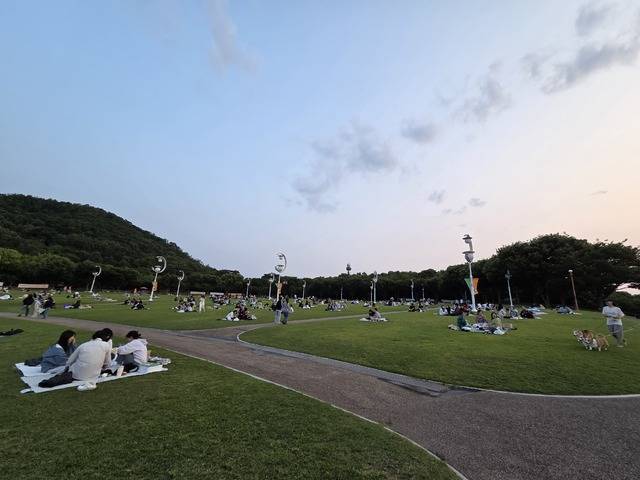 퀵보드를 맘껏 달려도 걸려 넘어지거나 다칠 염려가 별로 없다. 야구를 하거나, 배드민턴을 같이 쳐도 공간이 넓고 툭 틔여서 좋다. 권예인 인턴