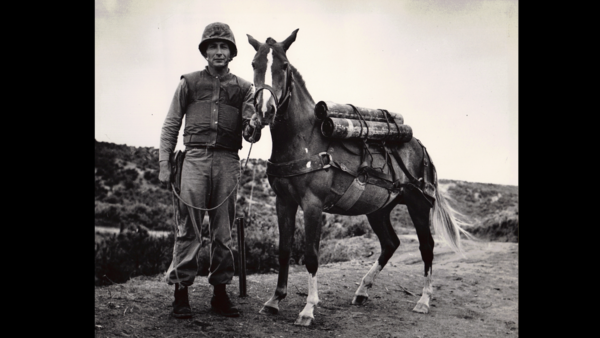 '영웅의 귀환, 레클리스'. (KBS제주)