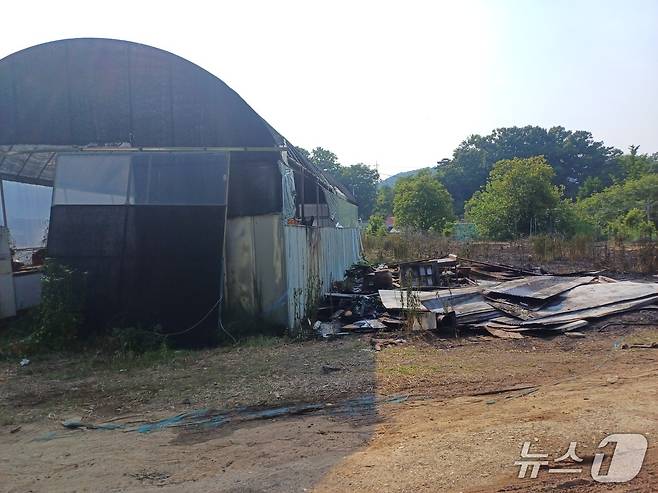 논산 상월면 석종리 비닐하우스 화재 현장. (논산소방서 제공, 재판매 및 DB금지) / 뉴스1