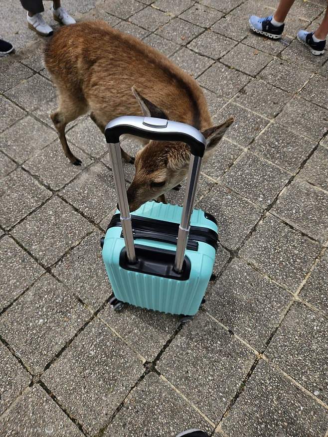 3fb8c32fffd711ab6fb8d38a4583766d282d1ff54ddb25c189232d8eef414cb8d210c1a7bfc51708896afdc27d5a