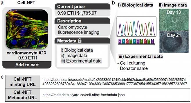 홍진기 연세대 교수팀이 소변에서 추출한 심근세포 이미지와 정보를 발행한 NFT에 대한 설명. 발표된 논문을 기준으로 0.99이더리움(ETH, 암호화폐의 한 종류)의 가치가 매겨졌다. Heo et al.(2025)/Scientific Reports 제공
