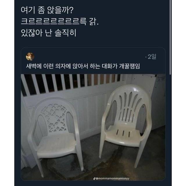 348216B8-3D55-484F-BEE6-5C42D5DAA868.jpeg 새벽에 앉으면 개꿀잼 대화 가능한 의자.jpg 새벽에 앉으면 개꿀잼 대화 가능한 의자.jpg