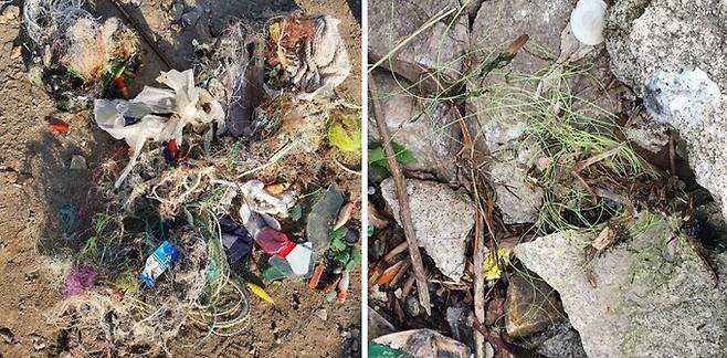 ‘낚줍원정대’가 지난 2020년부터 4년간 13번의 낚싯줄·낚시찌·폐어구 수거활동을 벌인 결과, 생활 쓰레기 및 낚시 쓰레기 4550ℓ를 수거했다. 동물을 위한 행동 제공