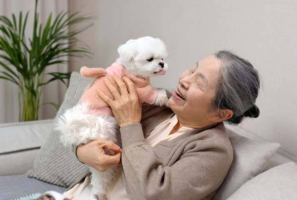 고령화 추세가 심화하며 노년기 동반자로 개나 고양이 등의 반려동물이 주목받고 있는 가운데, 최근 고령층이 반려동물 관련 지출을 확대하고 있다는 내용의 보고서가 발표됐다./사진=클립아트코리아