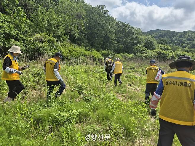 지난 5월 20일 공주시니어클럽 어르신 예찰팀이 계룡산에서 생태계교란 식물 서식지를 예찰하고 있다.