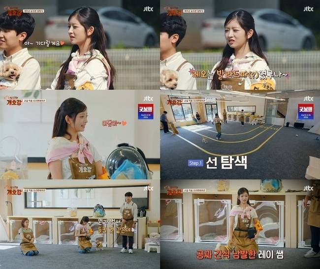 사진=JTBC ‘집 나가면 개호강’ 방송 캡처