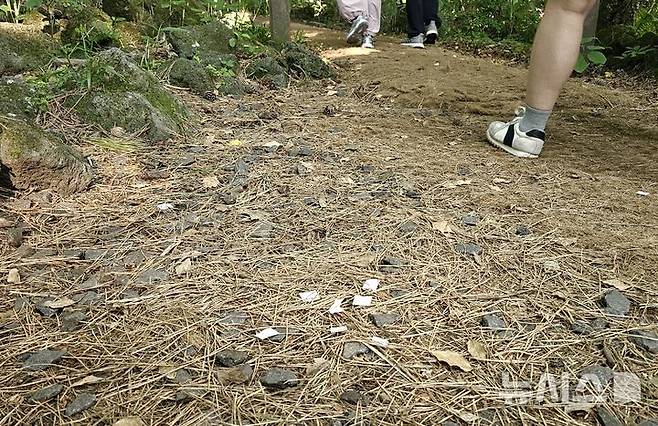 [제주=뉴시스] 임재영 기자 = 1일 오전 한라산국립공원 관음사탐방로 입구 주변에는 정상 출입용 손목 밴드인 '띠지'를 부착하면서 발생하는 스티커 조각들이 버려져 있다. 2025.06.02. ijy788@newsis.com