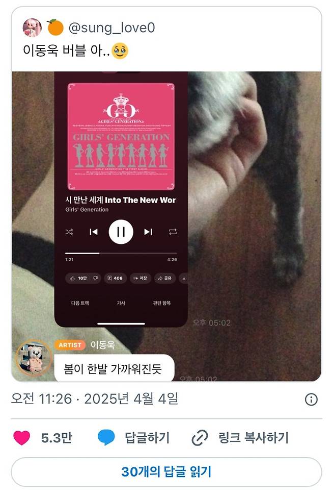 이동욱이 윤석열 전 대통령의 파면이 선고된 지난 4월 4일 팬들과 나눈 버블 대화 내역. X 캡처