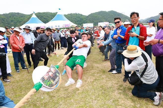 제39회 평해단오제 줄다리기 행사.