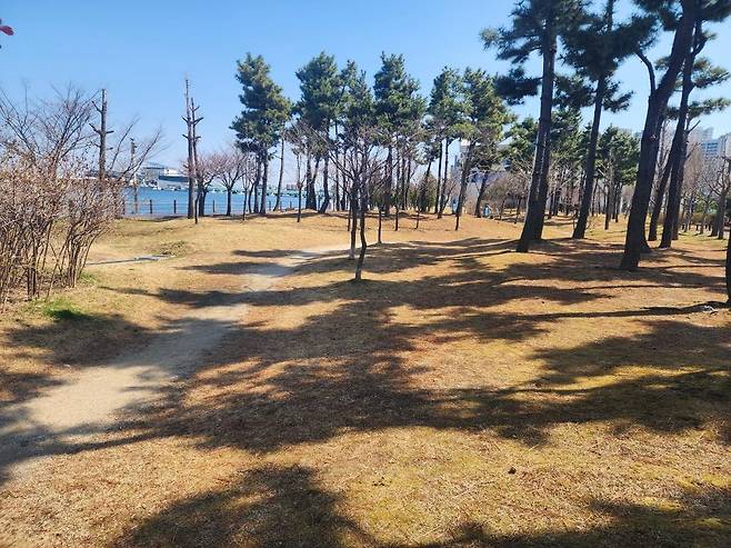 청초호 맨발 걷기 길 예정 부지 [속초시 제공. 재판매 및 DB금지]