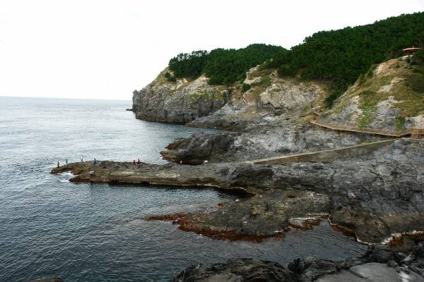 태하해안산책로 전경 사진 울릉군