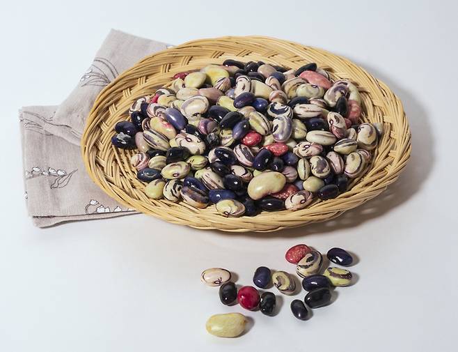 콩에는 단백질이 약 40%대로 매우 풍부하고, 식물성 지방질도 풍부하다. [사진=게티이미지뱅크]