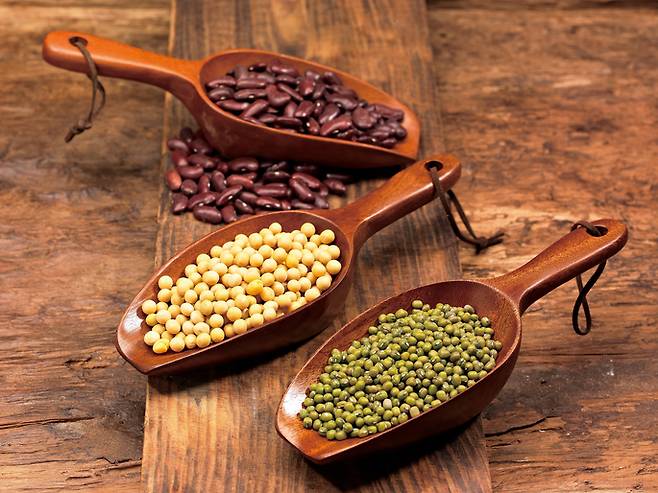 콩에 가장 많이 든 아미노산은 글루탐산(100g당 약 7g)이고, 가장 적게 함유된 아미노산은 트립토판, 메티오닌이었다.  [사진= 게티이미지뱅크]