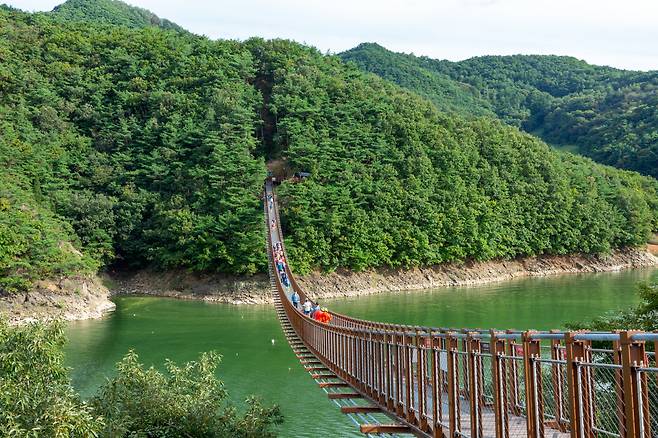 ◇옥순봉 출렁다리에 오르면 청풍호반의 아름다운 풍경을 한 눈에 즐길 수 있다. 사진제공=지엔씨21