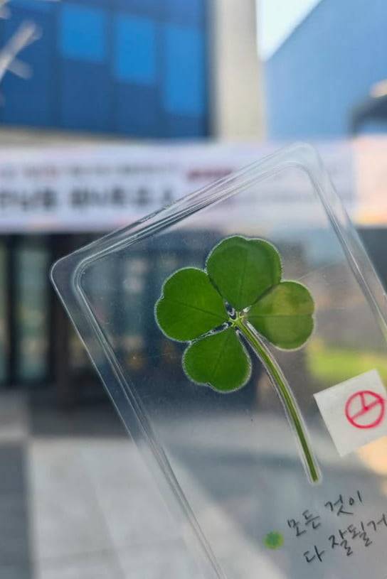 사진 출처=김소현 SNS 계정