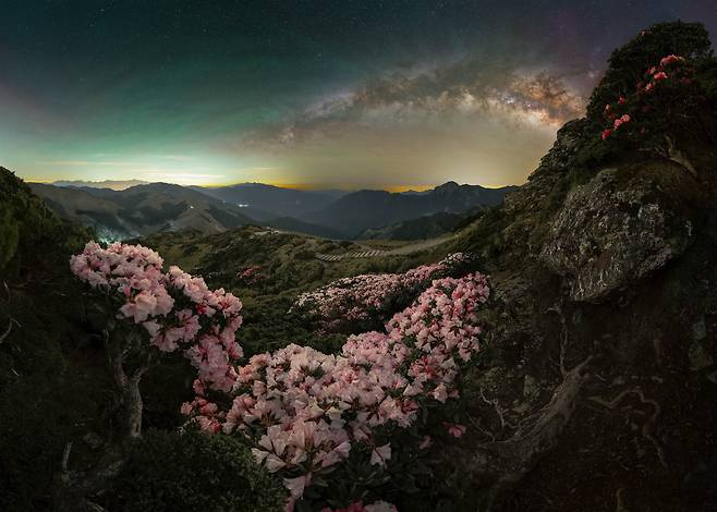 만개. /수이선/2025 Milky Way Photographer of the Year