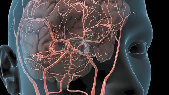 <사진: 아이클릭아트>