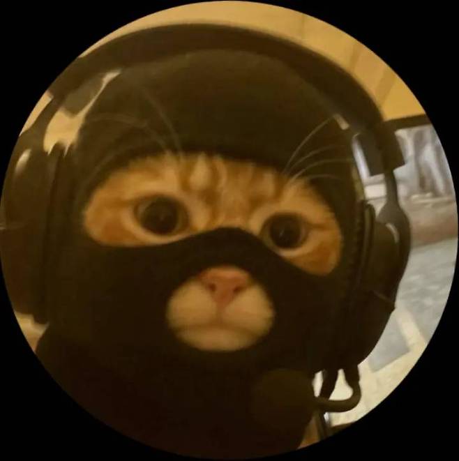 프로필사진으로 쓰기좋은 고양이사진