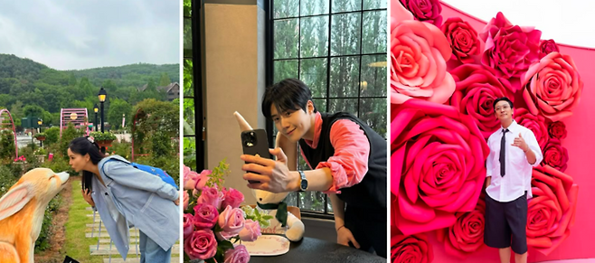 왼쪽부터 고소영·김선호·주지훈 인스타그램 / 사진=각 인스타그램 캡쳐