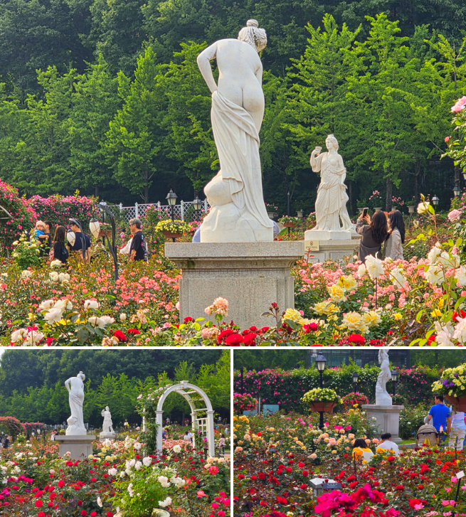 에버랜드 로로티 비너스원 / 사진=김혜성 여행+ 기자