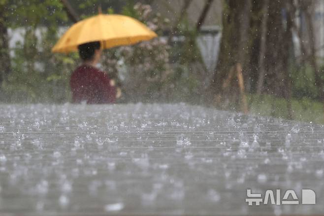 [서울=뉴시스] 최동준 기자 = 16일 서울 중구 서울시청 앞에 강한 비가 쏟아지고 있다. 2025.05.16. photocdj@newsis.com