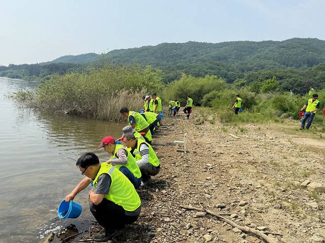 5월 29일 진행된 토종 치어 방류