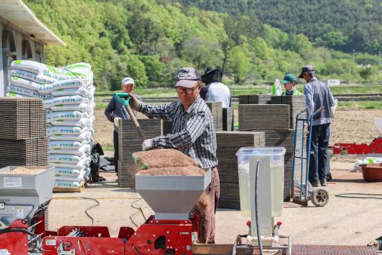 지난 4월 29일 개천면 친환경농업 벼 파종 현장.