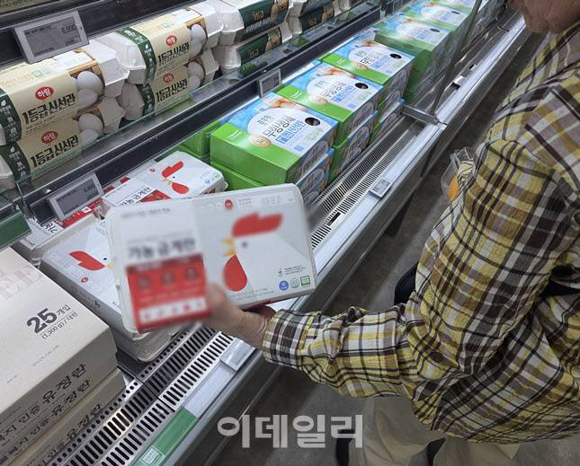 롯데마트 서울역점 신선 식품 코너. 60대 주부 A씨가 계란 매대에서 가격표를 살피고 있다. (사진=한전진 기자)