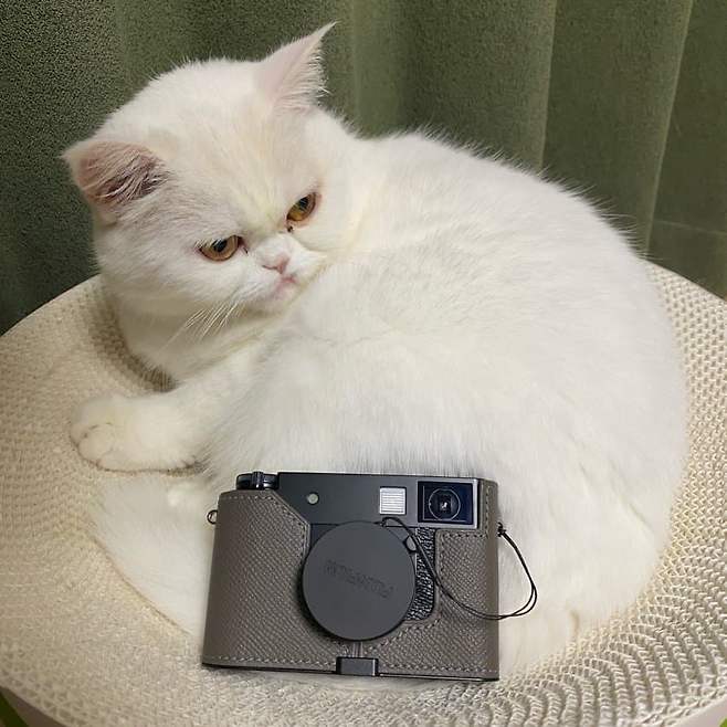 7d9cf371b68a1cf22399f7e7329c706f190c9acf664322cc4f66e69c4b2aac3947fff0a139318e0d9d78a07efcf8f3c54025282b