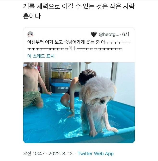 Screenshot_20230822_164751_Instagram.jpg 개를 체력으로 이길 수 있는건 작은사람 뿐이다 개를 체력으로 이길 수 있는건 작은사람 뿐이다 .jpg