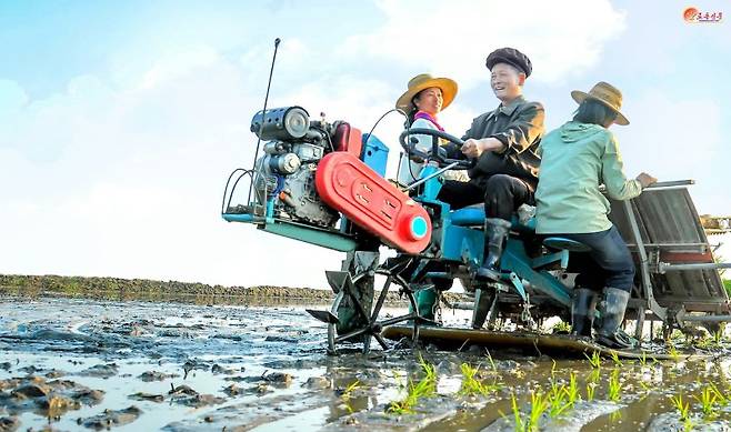 북한 노동당 기관지 노동신문은 지난달 30일 "증산군 풍정농장에서 모내기 일정 계획을 1.3배 이상으로 수행해 기본면적의 모내기 마감단계로 진입하고 있다"는 선전선동의 내용을 담아 보도했다. 노동신문 캡처