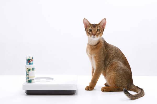 사진=클립아트코리아